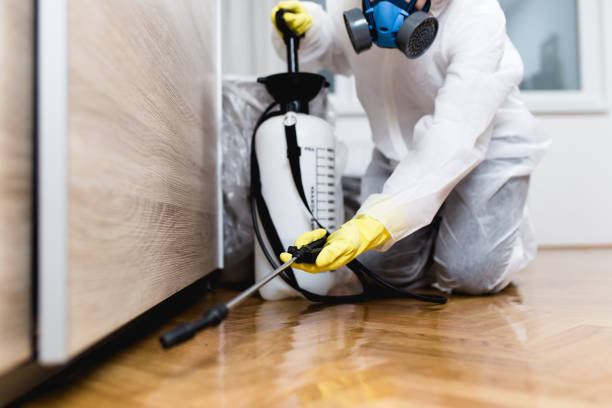 Best Flea Control Services  in Greybull, WY