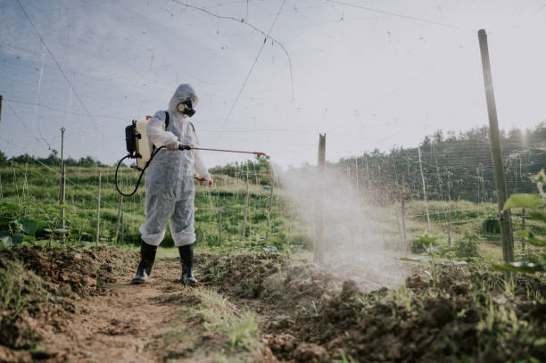 Best Affordable Pest Control Services  in Greybull, WY