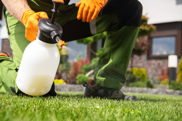 Best Pest Control for Restaurants  in Greybull, WY