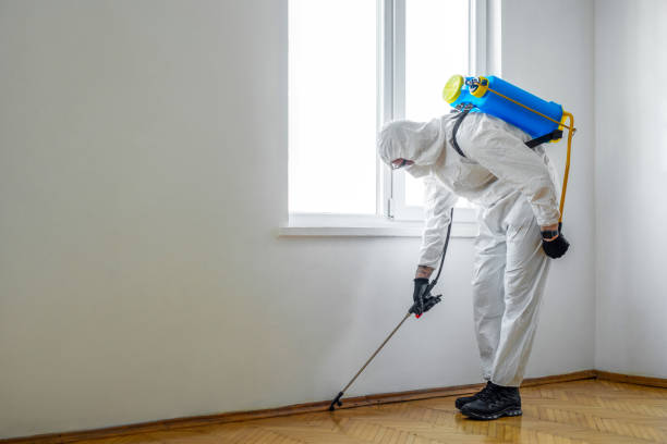 Best Emergency Pest Control  in Greybull, WY
