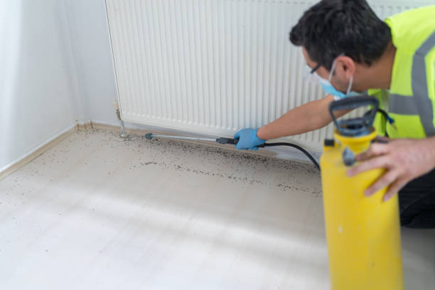 Best Bed Bug Extermination  in Greybull, WY