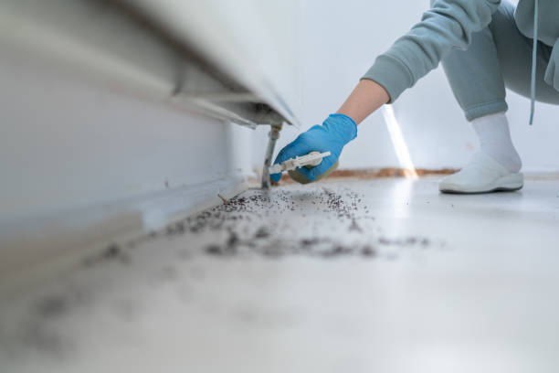 Best Pest Control Near Me in Greybull, WY
