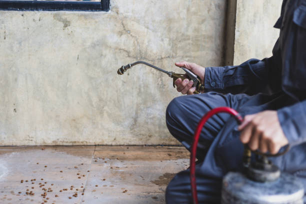 Best Pest Control for Businesses  in Greybull, WY